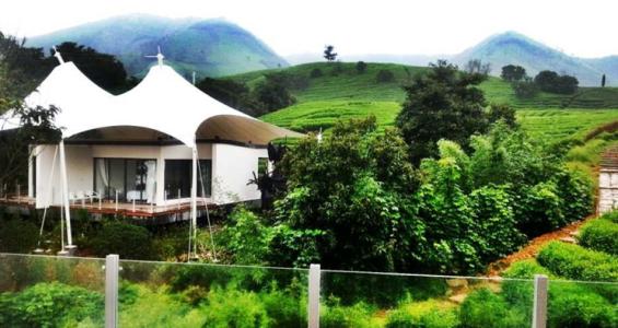 1562655685454857.jpg 50802.jpg